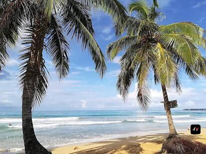 Relax, vacaciones en las playas del caribe