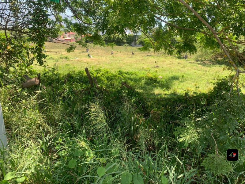 SE VENDEN 24 250 mts 2 de Terreno en La Autopista Santiago