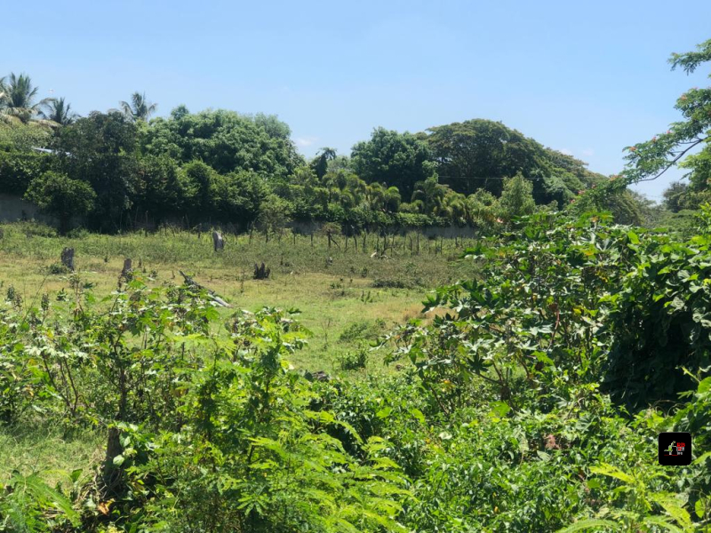 SE VENDEN 24 250 mts 2 de Terreno en La Autopista Santiago