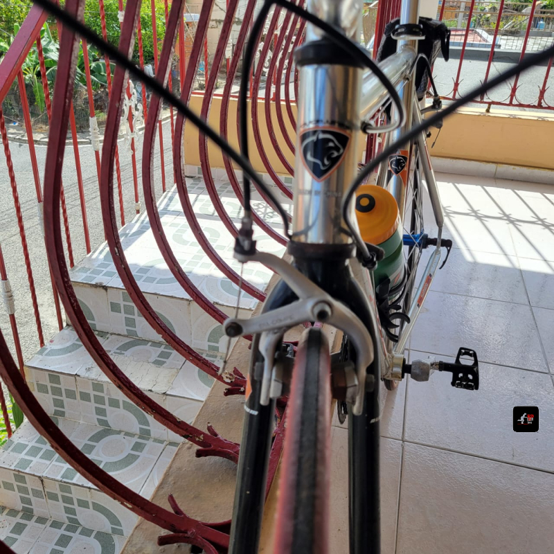 Bicicleta Royce Union en venta