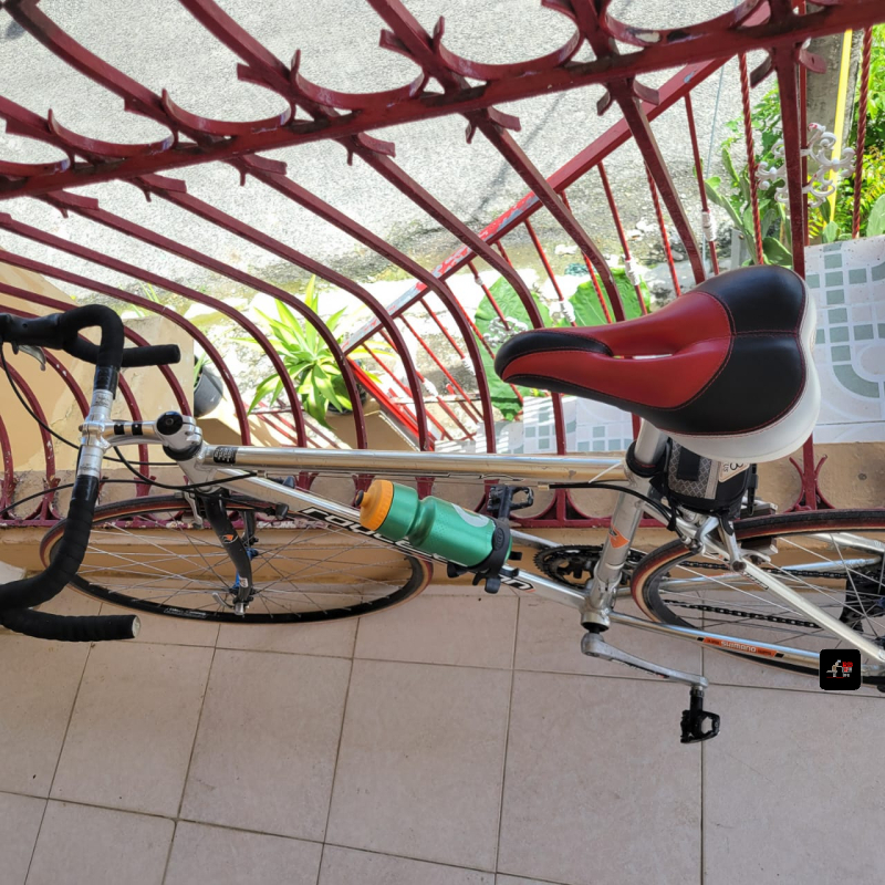 Bicicleta Royce Union en venta