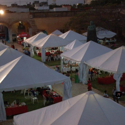 Alquiler de Carpas para eventos. Activ. Fiestas. Carpa de dif. medidas