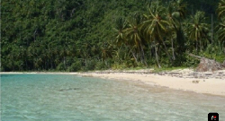 Terrenos lineales a la playa, las terrenas!