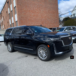 Luxury Rent Cars, para gustos exquisitos!! 