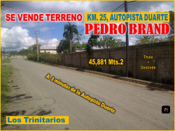 SE VENDEN 45 881 Mts 2 de Terreno en PEDRO BRAND