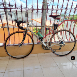 Bicicleta Royce Union en venta