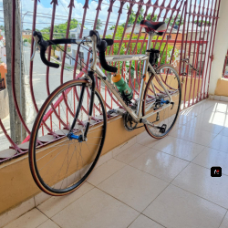 Bicicleta Royce Union en venta